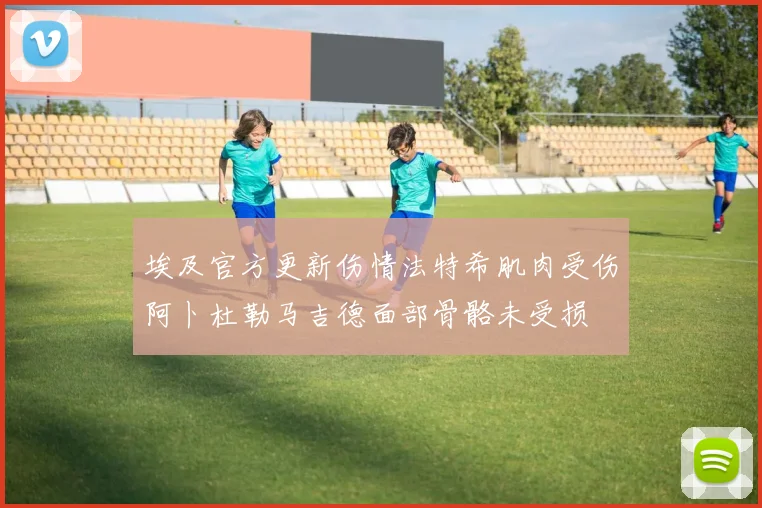 埃及官方更新伤情法特希肌肉受伤阿卜杜勒马吉德面部骨骼未受损